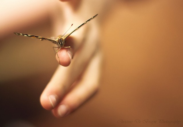 快速补单处理的ddos工具下载